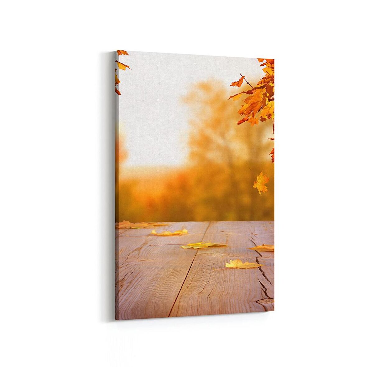 Olla 13512D Doğa / Manzara Görseli Dikey Kanvas Tablo (Ölçü: 100X150)