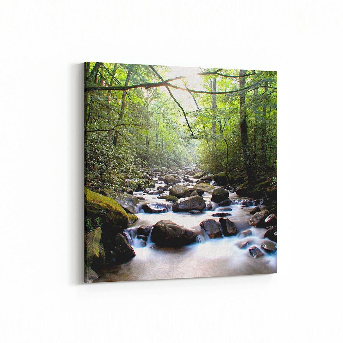 Olla 14033K Doğa / Manzara Görseli Kare Kanvas Tablo (Ölçü: 100X100)