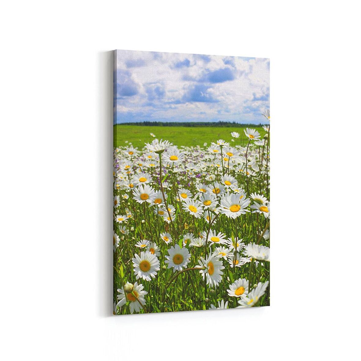 Olla 13792D Doğa / Manzara Görseli Dikey Kanvas Tablo (Ölçü: 100X150)