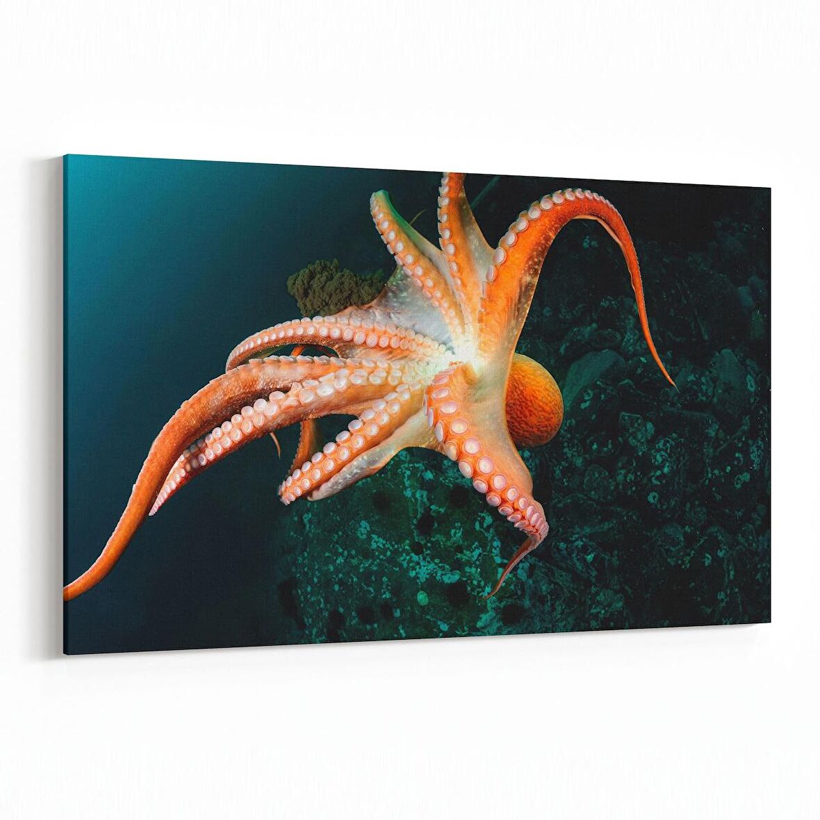 Olla 12963Y Deniz / Okyanus Görseli Yatay Kanvas Tablo (Ölçü: 45X30)