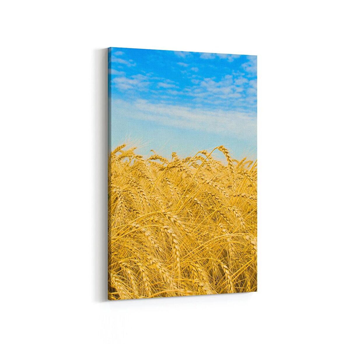 Olla 13799D Doğa / Manzara Görseli Dikey Kanvas Tablo (Ölçü: 60X90)