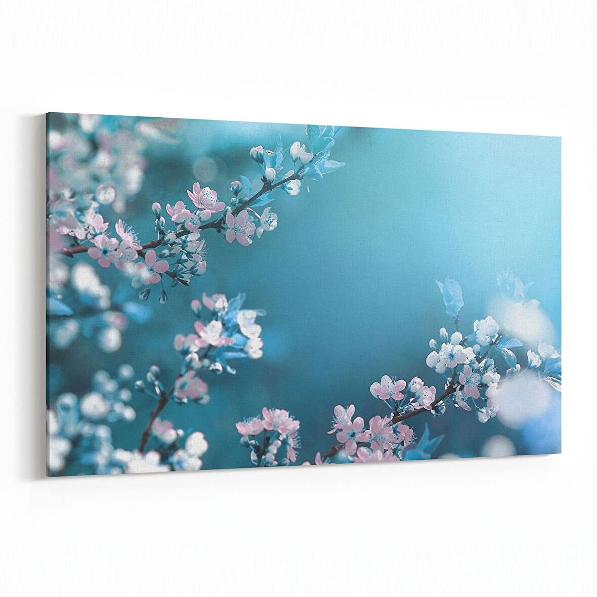 Olla 11651Y Orkide Çiçek Görseli Yatay Kanvas Tablo (Ölçü: 120X80)