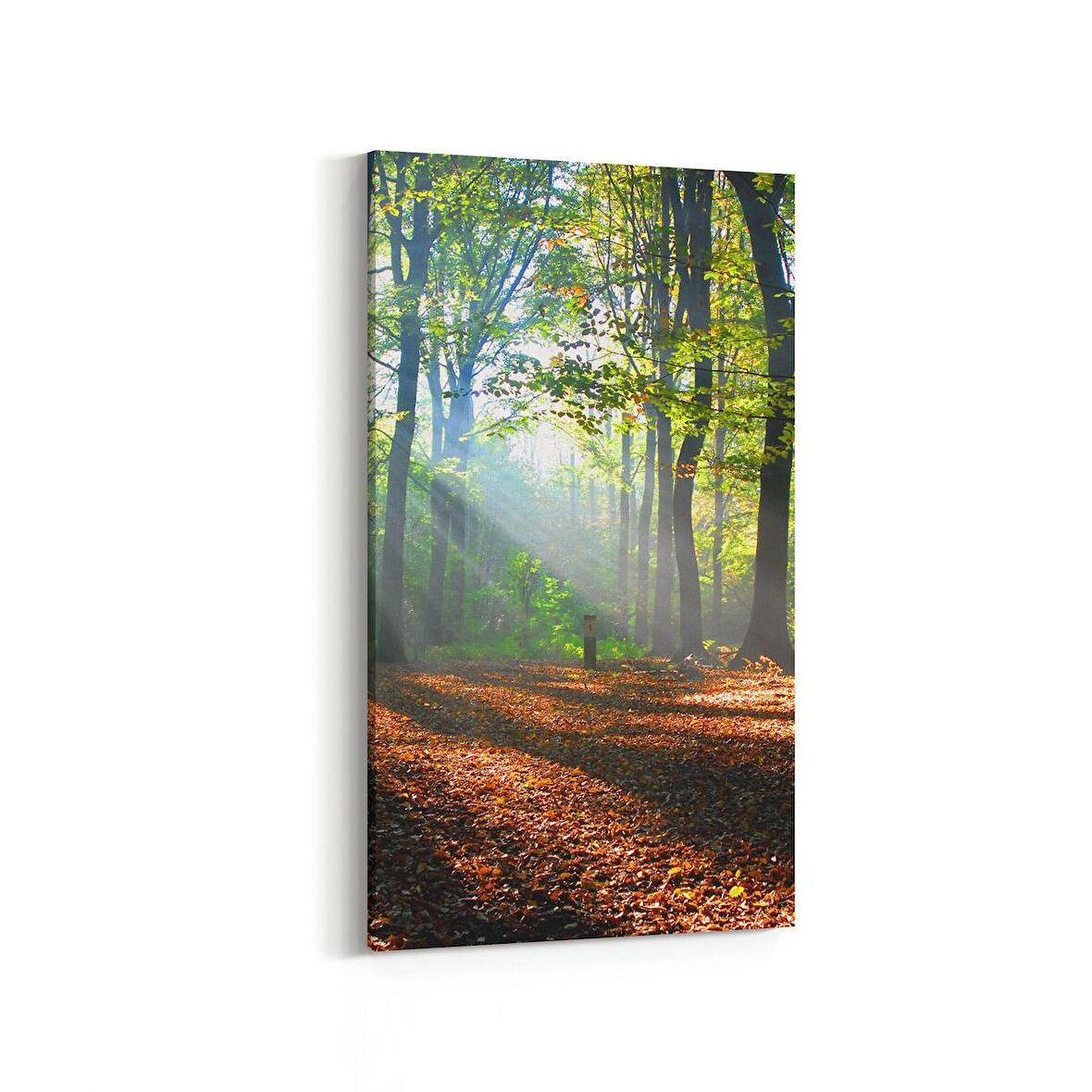 Olla 14606DD Doğa / Manzara Görseli Dikey Dar Kanvas Tablo (Ölçü: 40X80)