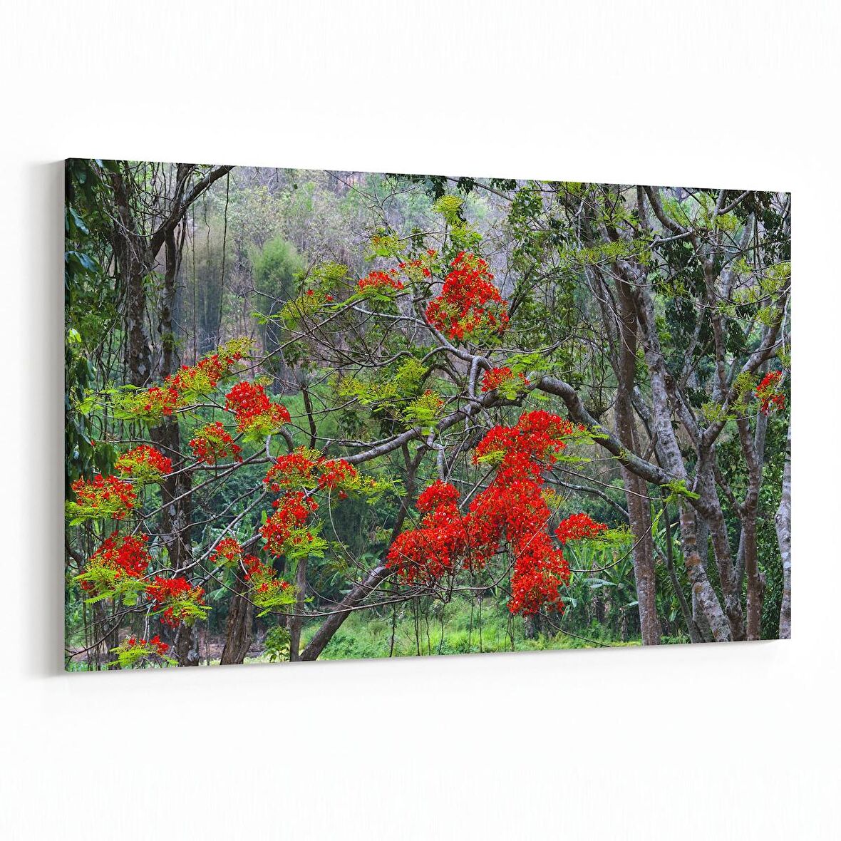 Olla 13446Y Doğa / Manzara Görseli Yatay Kanvas Tablo (Ölçü: 120X80)