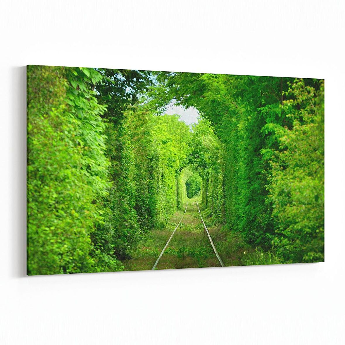 Olla 13454Y Doğa / Manzara Görseli Yatay Kanvas Tablo (Ölçü: 45X30)