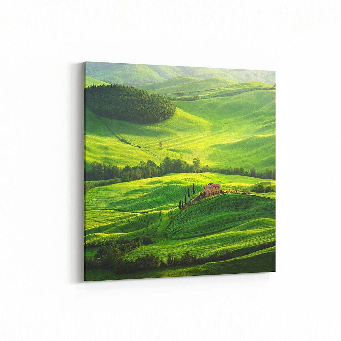 Olla 13491K Doğa / Manzara Görseli Kare Kanvas Tablo (Ölçü: 25X25)