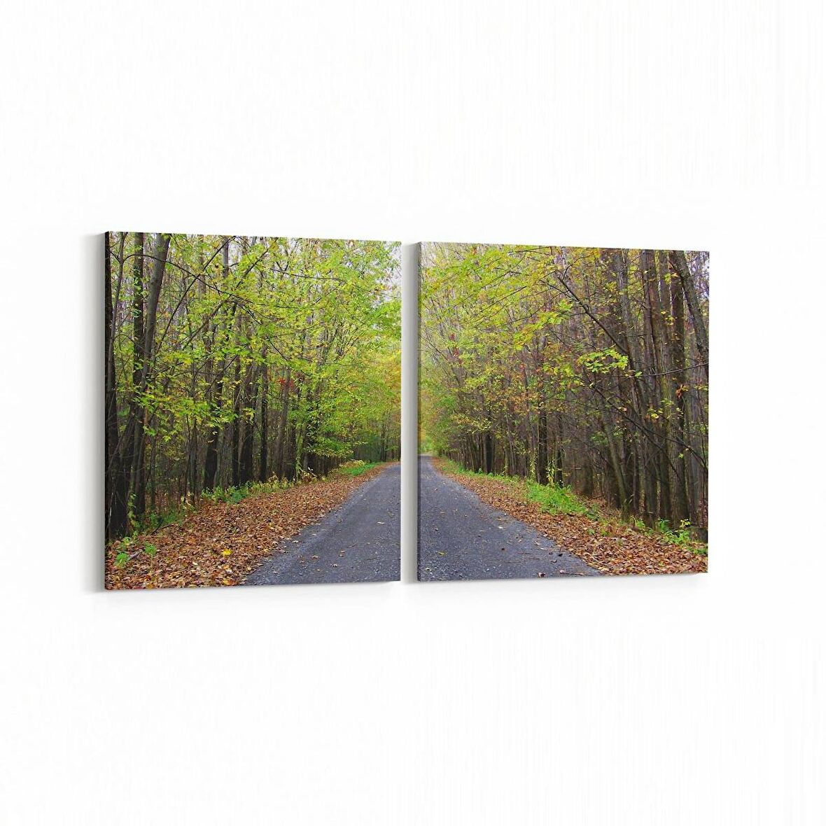 Olla 14411K2Y Doğa / Manzara Görseli Kare 2'li Yatay Kanvas Tablo (Ölçü: 125X60)