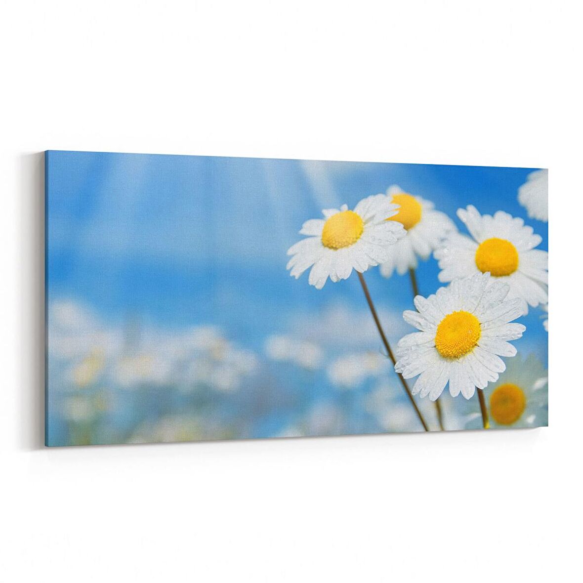 Olla 10728YD Ağaç Görseli Yatay Dar Kanvas Tablo (Ölçü: 60X30)