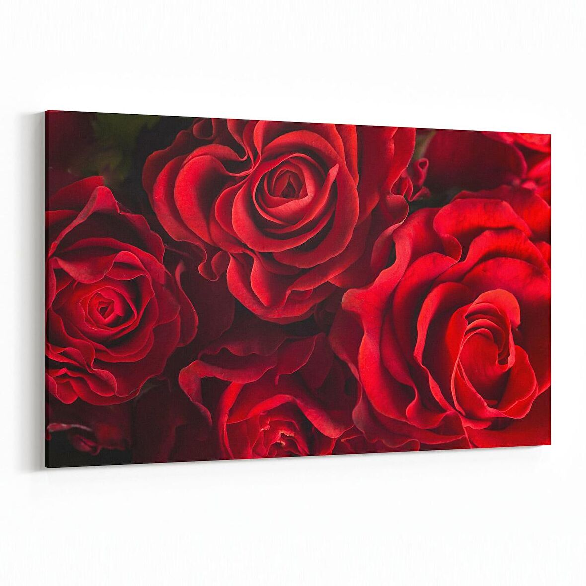 Olla 11590Y Çiçek Görseli Yatay Kanvas Tablo (Ölçü: 70X50)