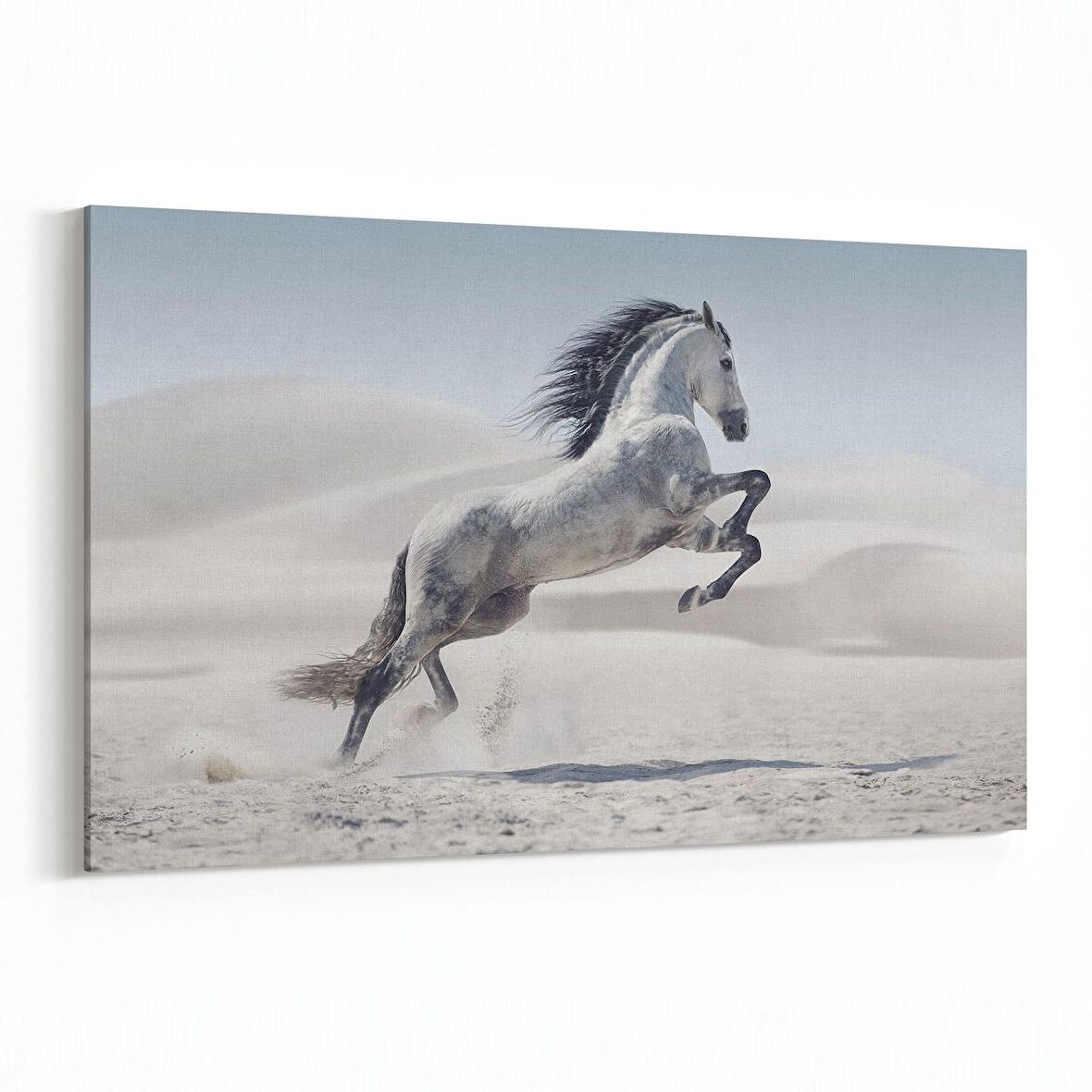 Olla 12548Y Hayvanlar Alemi Görseli Yatay Kanvas Tablo (Ölçü: 90X60)