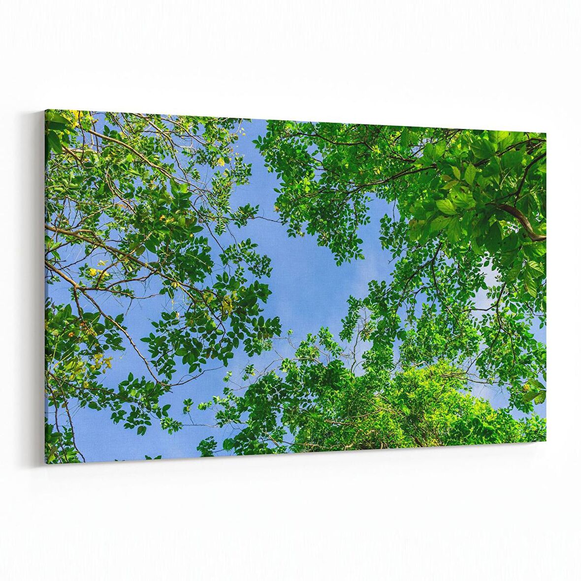 Olla 10972Y Ağaç Görseli Yatay Kanvas Tablo (Ölçü: 120X80)