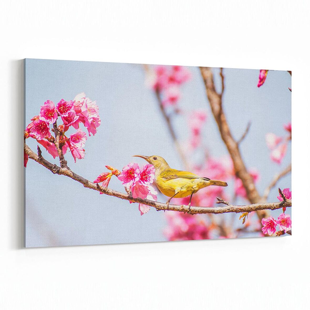 Olla 10918Y Ağaç Görseli Yatay Kanvas Tablo (Ölçü: 120X80)