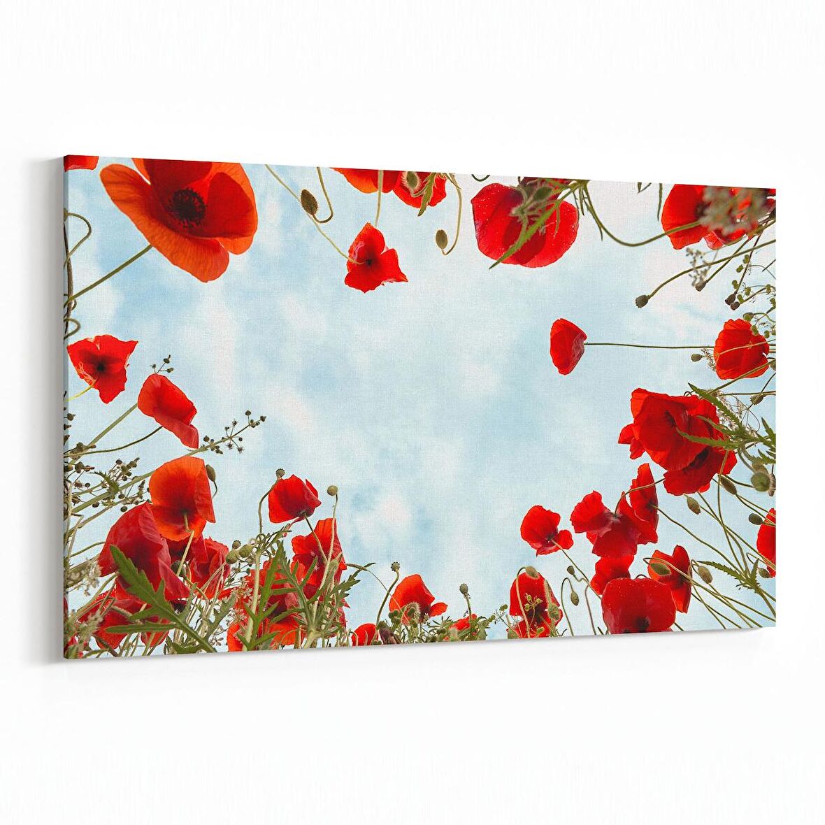 Olla 10585Y Ağaç Görseli Yatay Kanvas Tablo (Ölçü: 150X100)