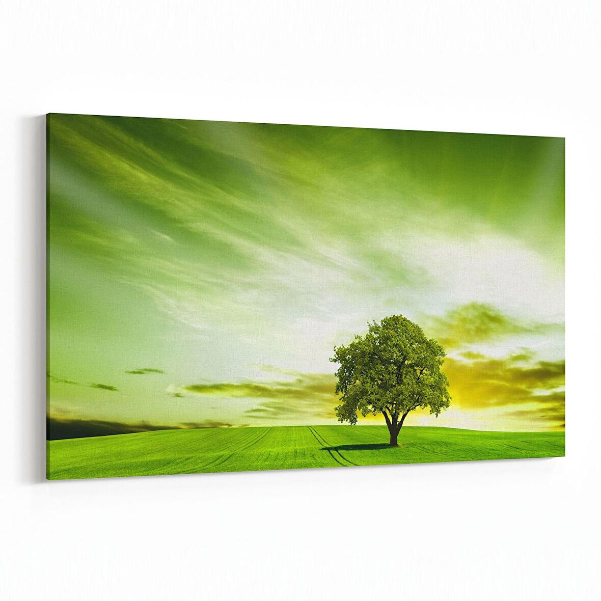 Olla 14608Y Doğa / Manzara Görseli Yatay Kanvas Tablo (Ölçü: 120X80)