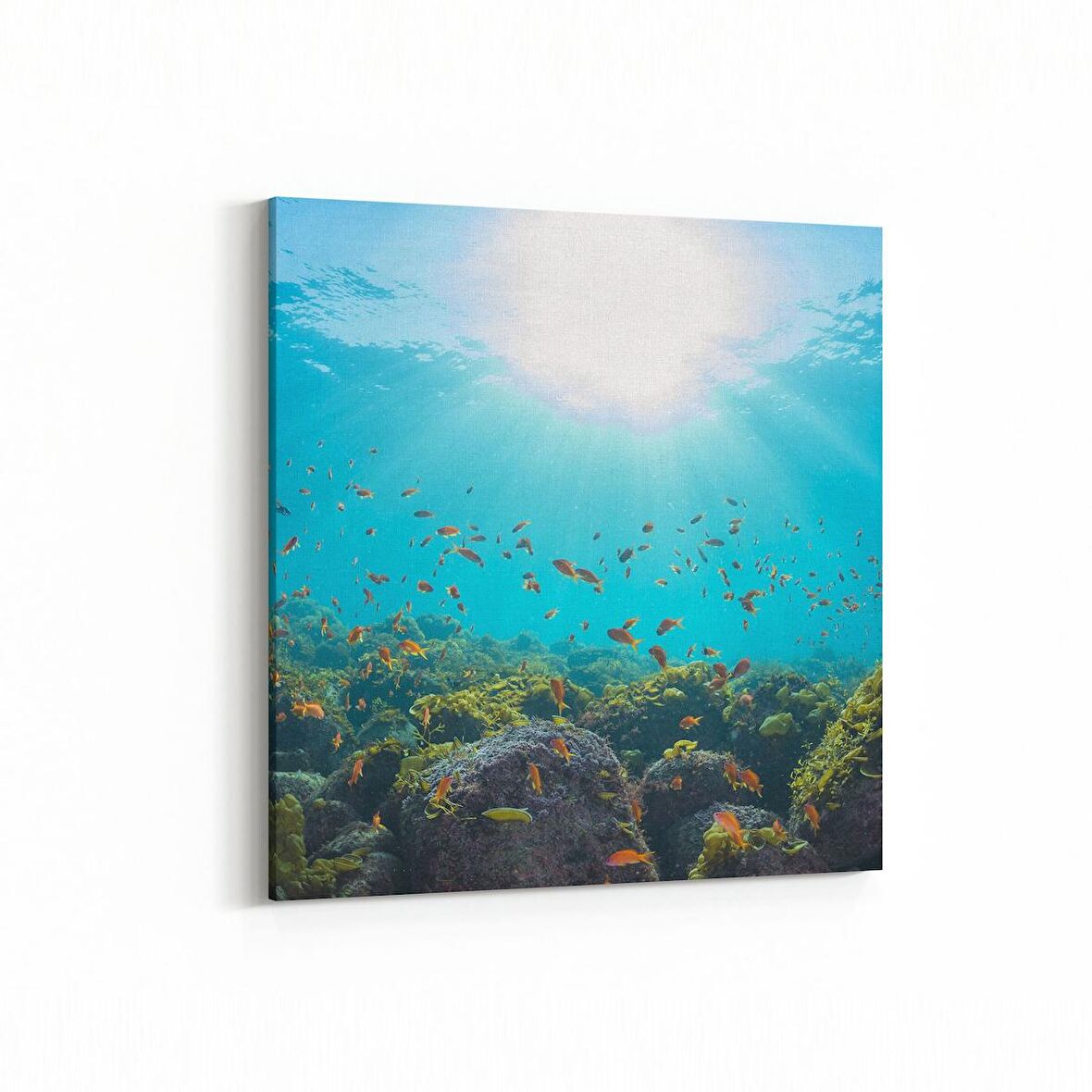 Olla 12987K Deniz / Okyanus Görseli Kare Kanvas Tablo (Ölçü: 60X60)
