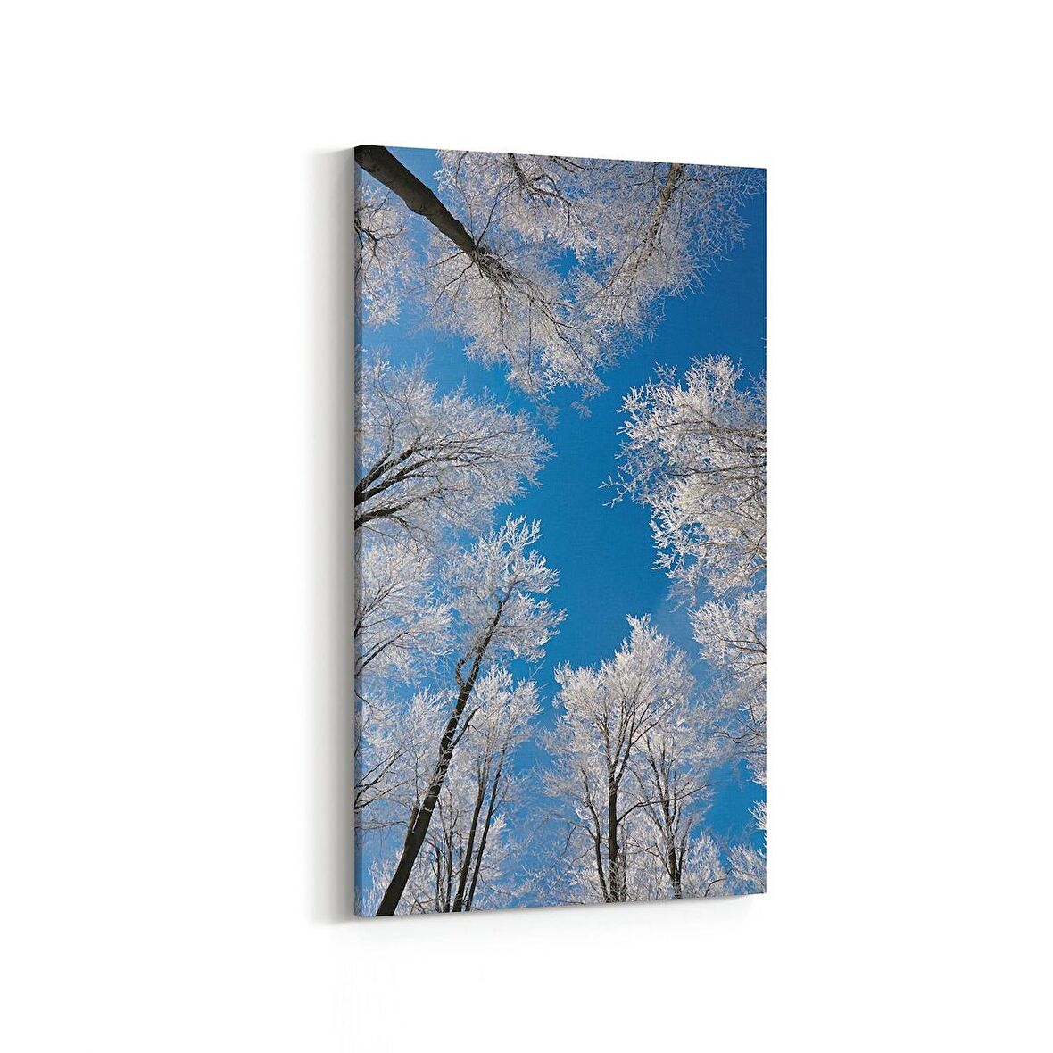 Olla 10529DD Ağaç Görseli Dikey Dar Kanvas Tablo (Ölçü: 40X80)