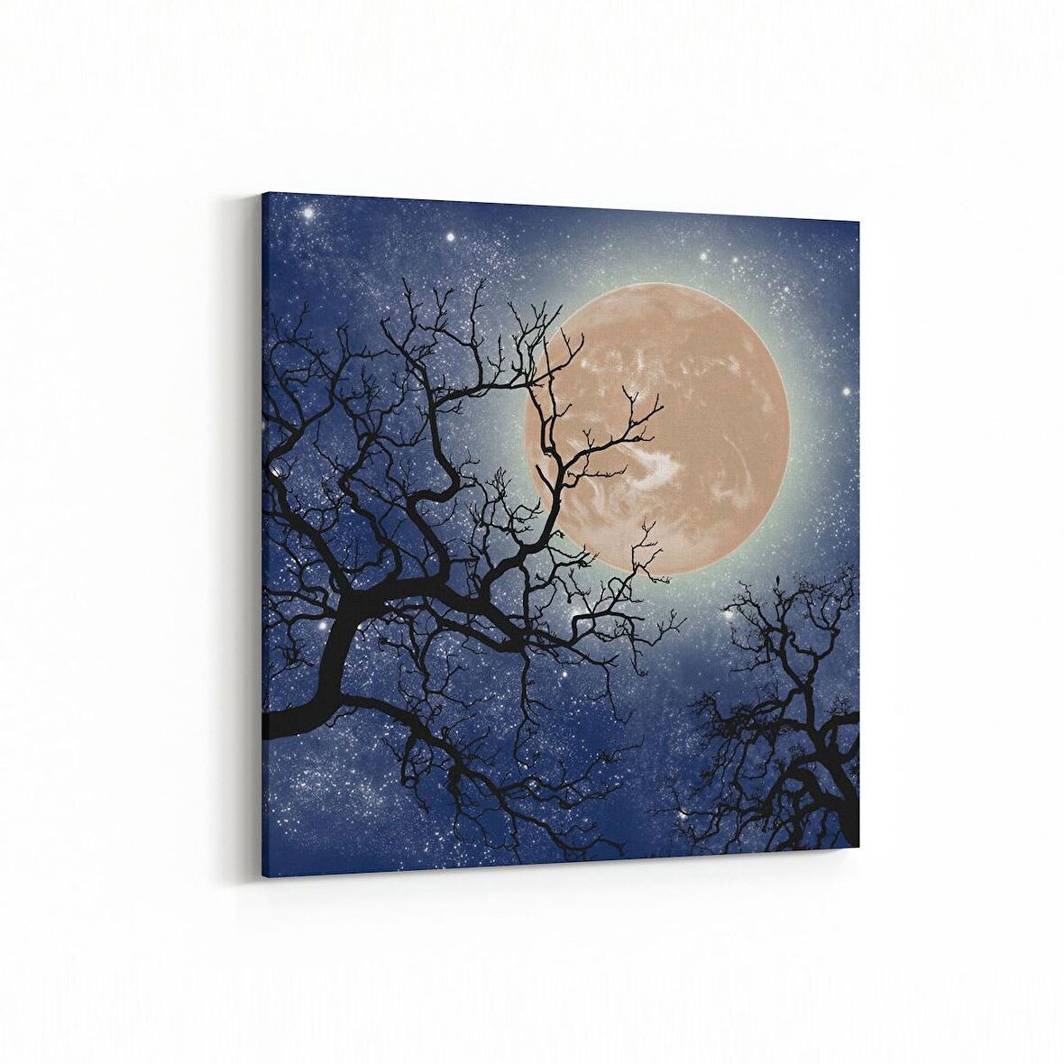 Olla 14638K Gece Gökyüzü Görseli Kare Kanvas Tablo (Ölçü: 30X30)