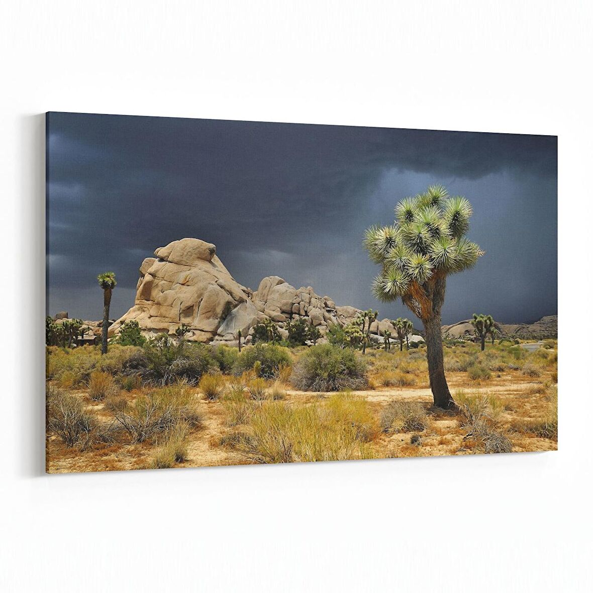 Olla 14571Y Doğa / Manzara Görseli Yatay Kanvas Tablo (Ölçü: 70X50)