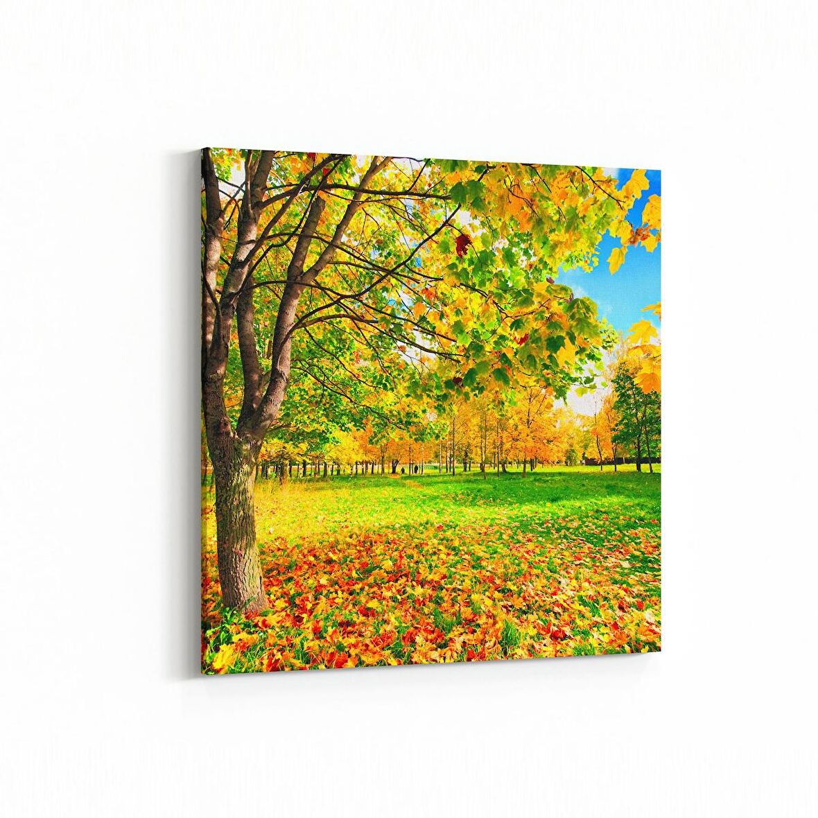 Olla 13174K Doğa / Manzara Görseli Kare Kanvas Tablo (Ölçü: 30X30)