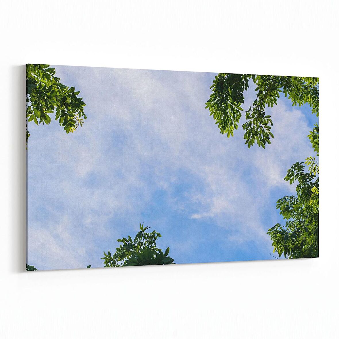 Olla 10862Y Ağaç Görseli Yatay Kanvas Tablo (Ölçü: 45X30)