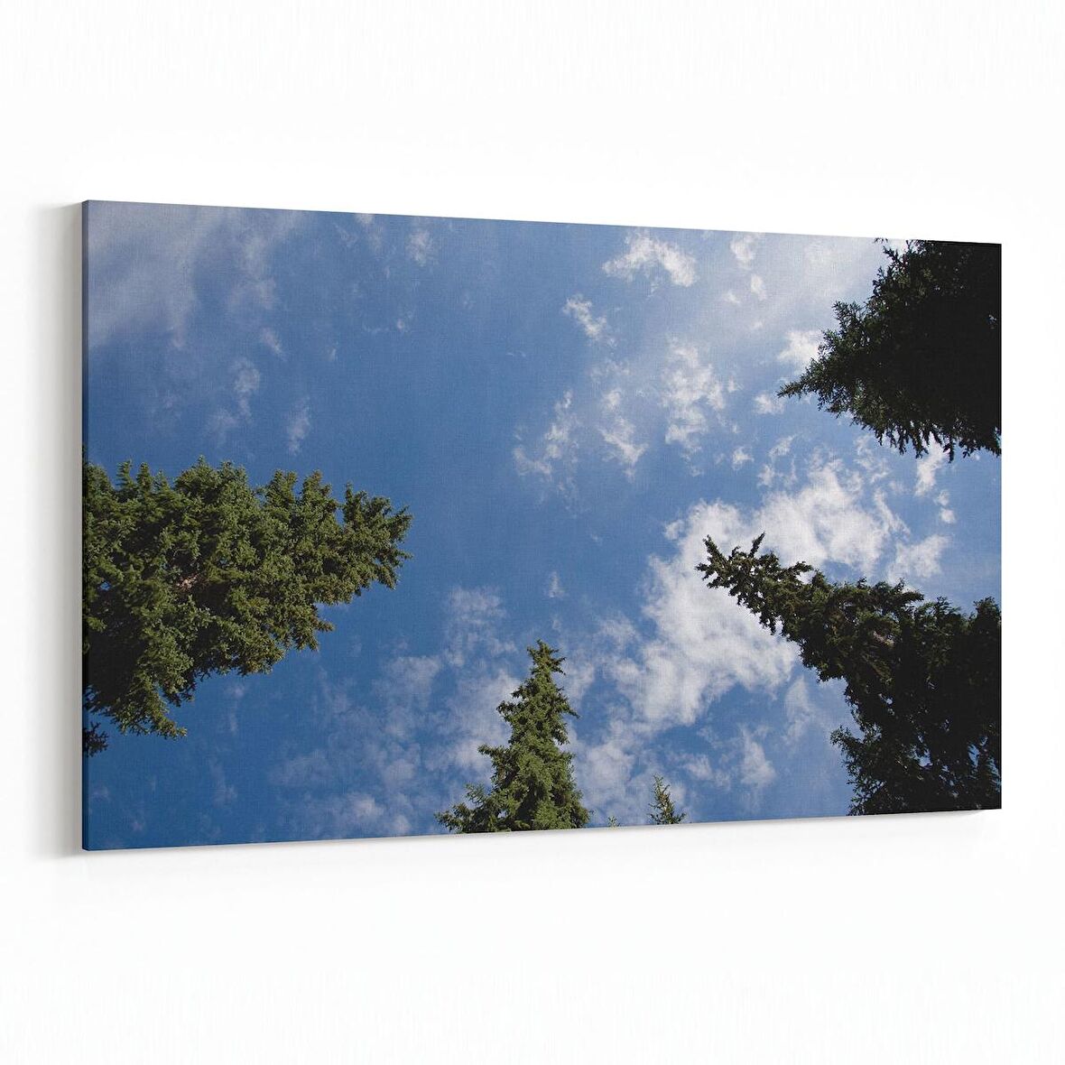 Olla 10747Y Ağaç Görseli Yatay Kanvas Tablo (Ölçü: 90X60)