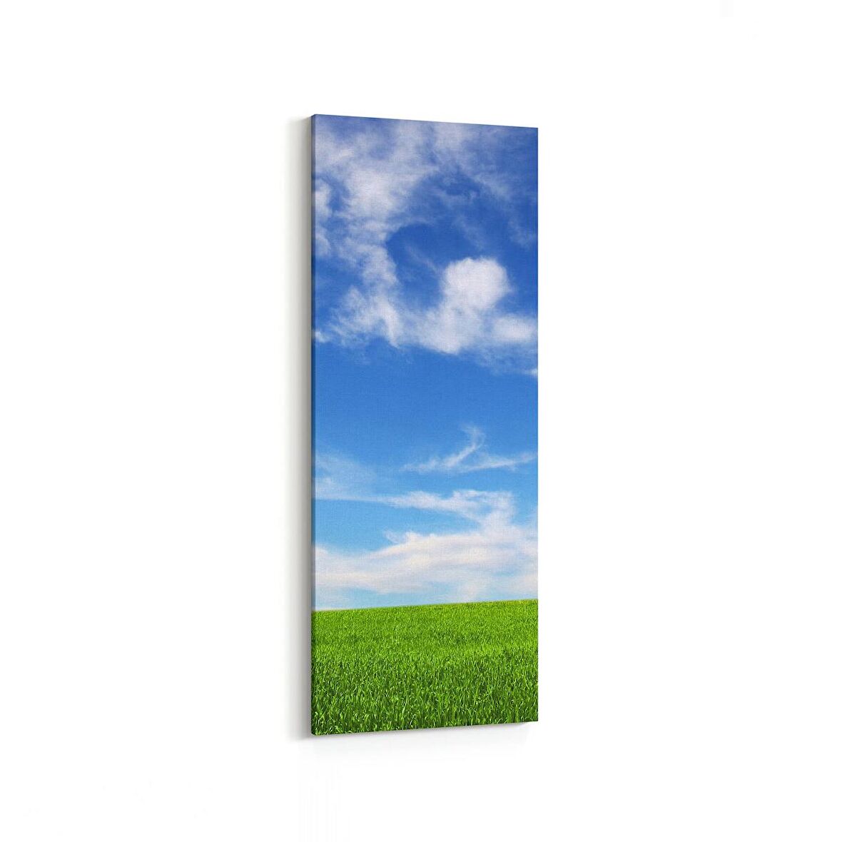 Olla 14465DI Doğa / Manzara Görseli Dikey İnce Kanvas Tablo (Ölçü: 40X120)