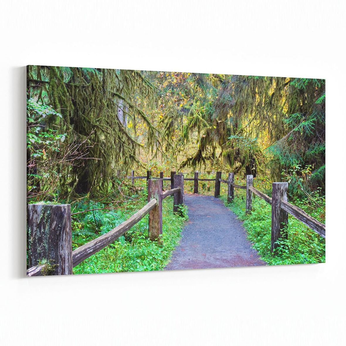 Olla 13305Y Doğa / Manzara Görseli Yatay Kanvas Tablo (Ölçü: 45X30)