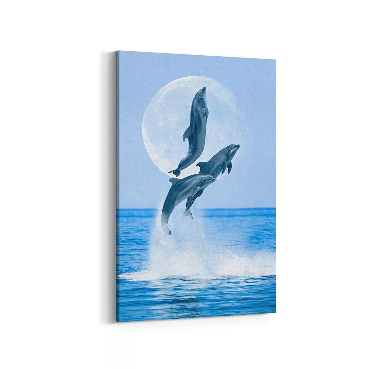 Olla 13017D Deniz / Okyanus Görseli Dikey Kanvas Tablo (Ölçü: 100X150)