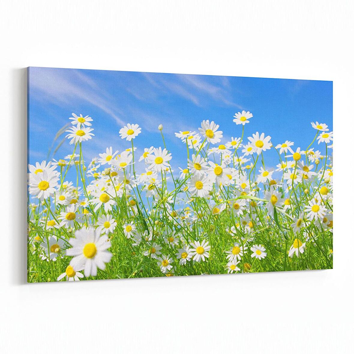 Olla 14320Y Doğa / Manzara Görseli Yatay Kanvas Tablo (Ölçü: 30X20)