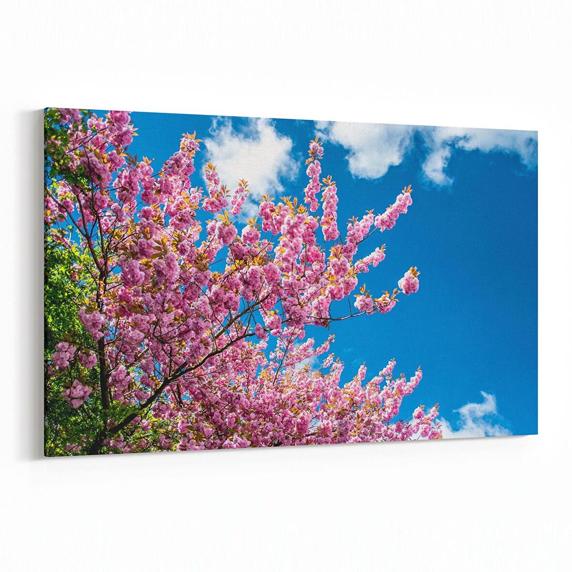 Olla 10757Y Ağaç Görseli Yatay Kanvas Tablo (Ölçü: 90X60)