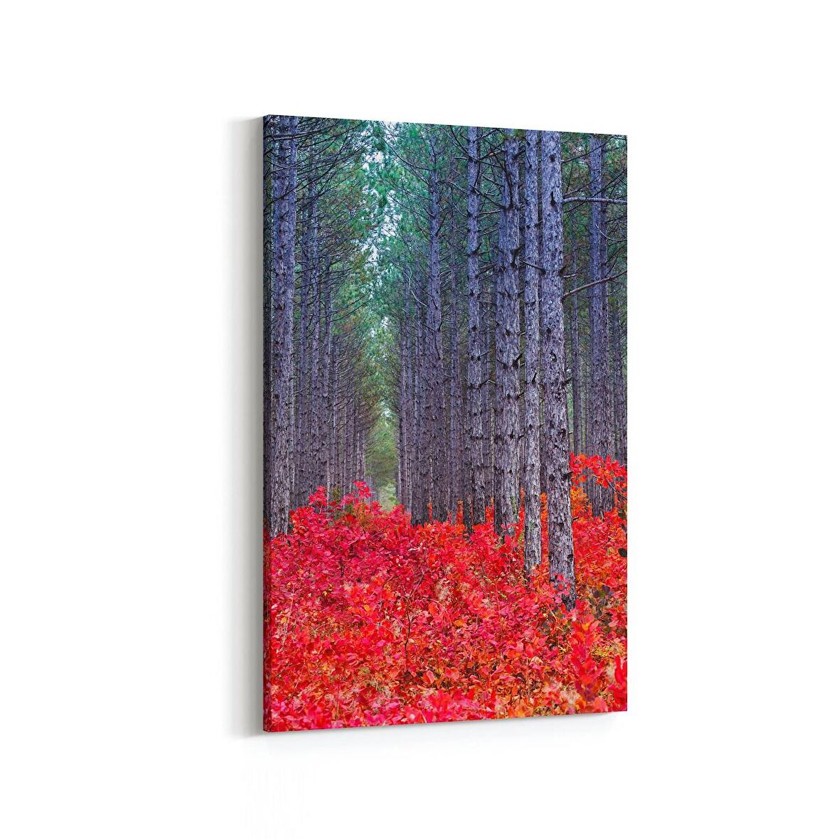 Olla 13561D Doğa / Manzara Görseli Dikey Kanvas Tablo (Ölçü: 80X120)