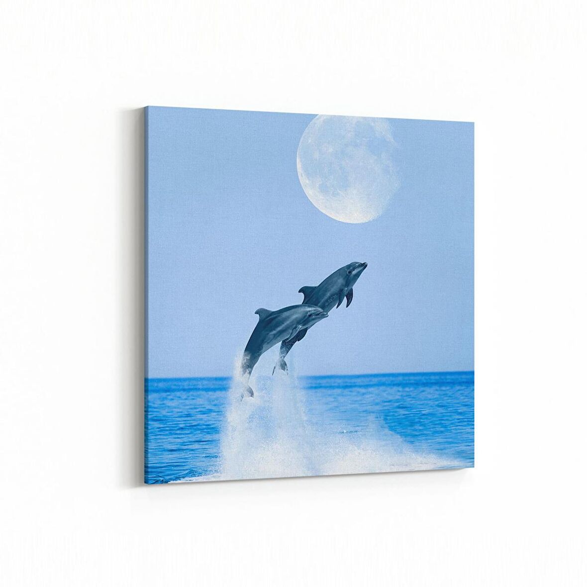 Olla 12973K Deniz / Okyanus Görseli Kare Kanvas Tablo (Ölçü: 30X30)