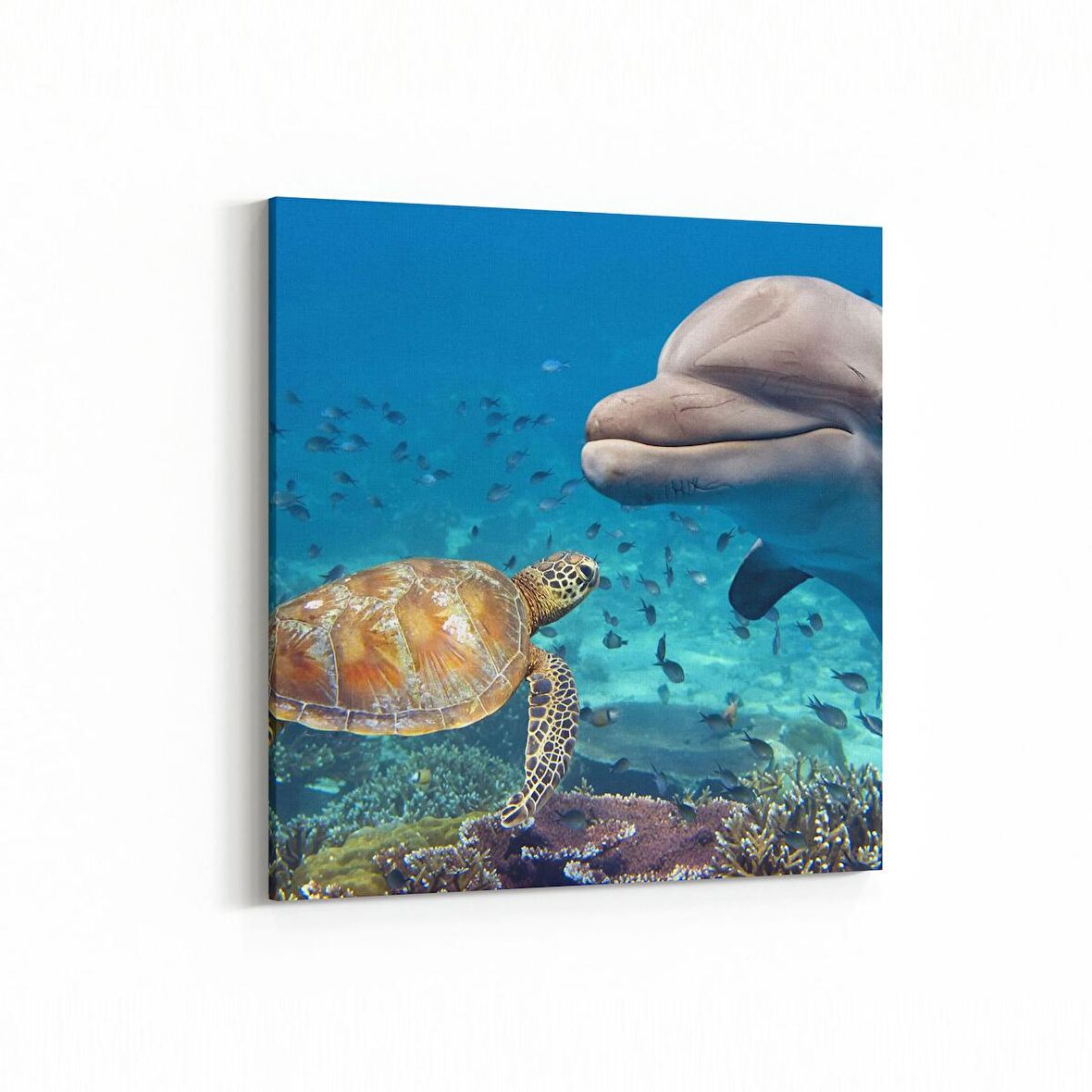 Olla 12947K Deniz / Okyanus Görseli Kare Kanvas Tablo (Ölçü: 25X25)