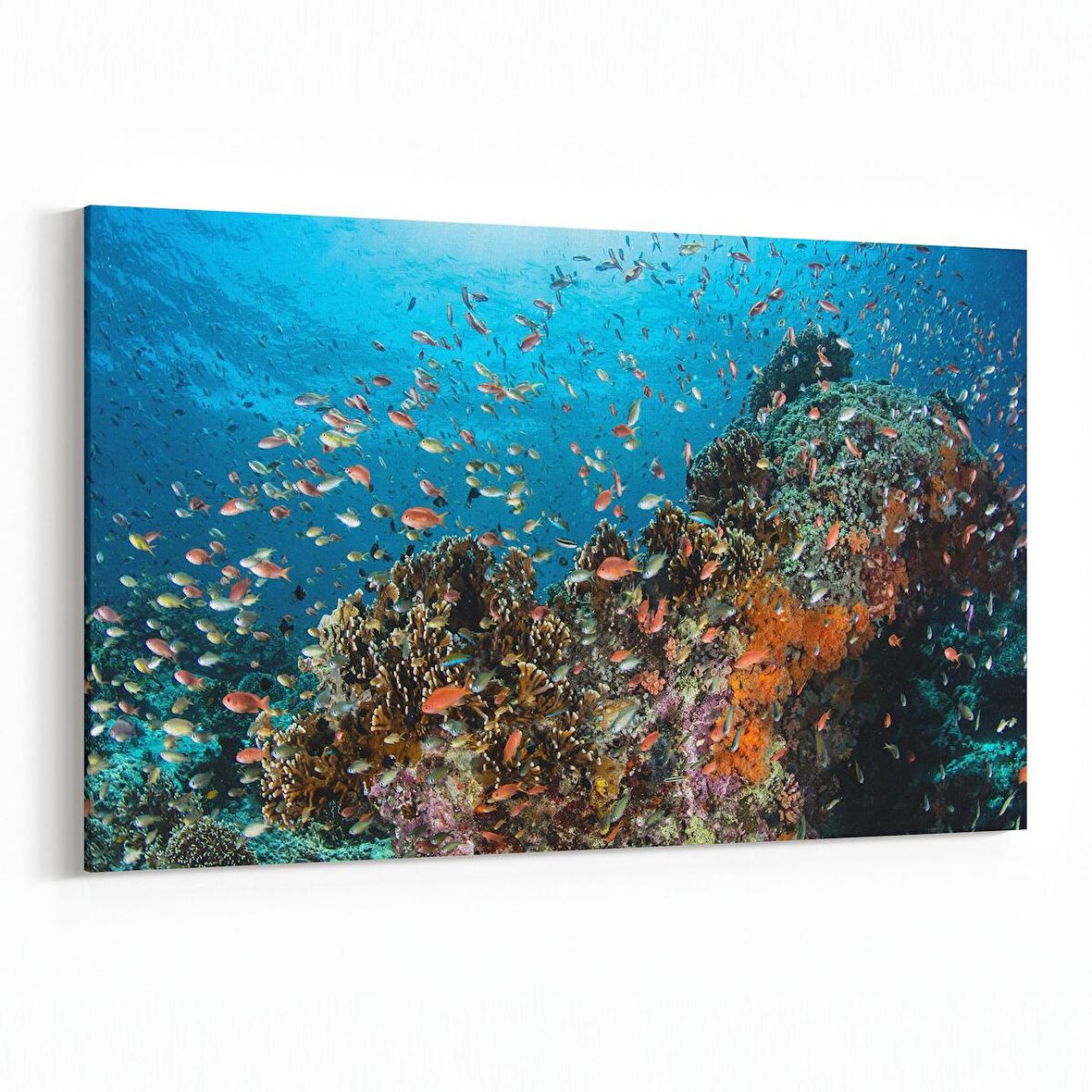 Olla 12137Y Akvaryum / Balık Görseli Yatay Kanvas Tablo (Ölçü: 90X60)