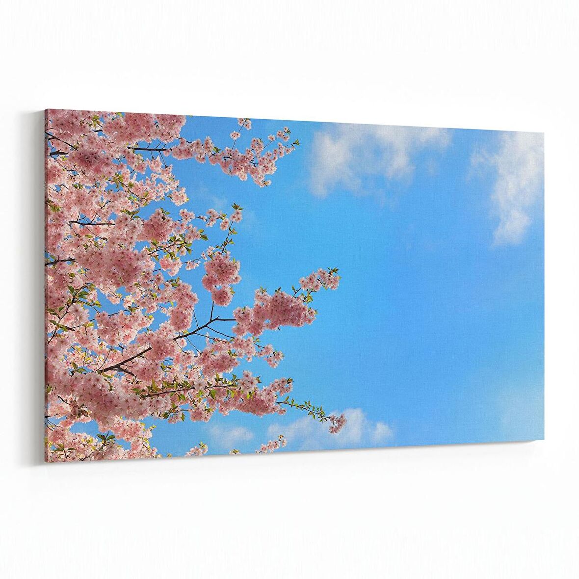 Olla 10767Y Ağaç Görseli Yatay Kanvas Tablo (Ölçü: 30X20)