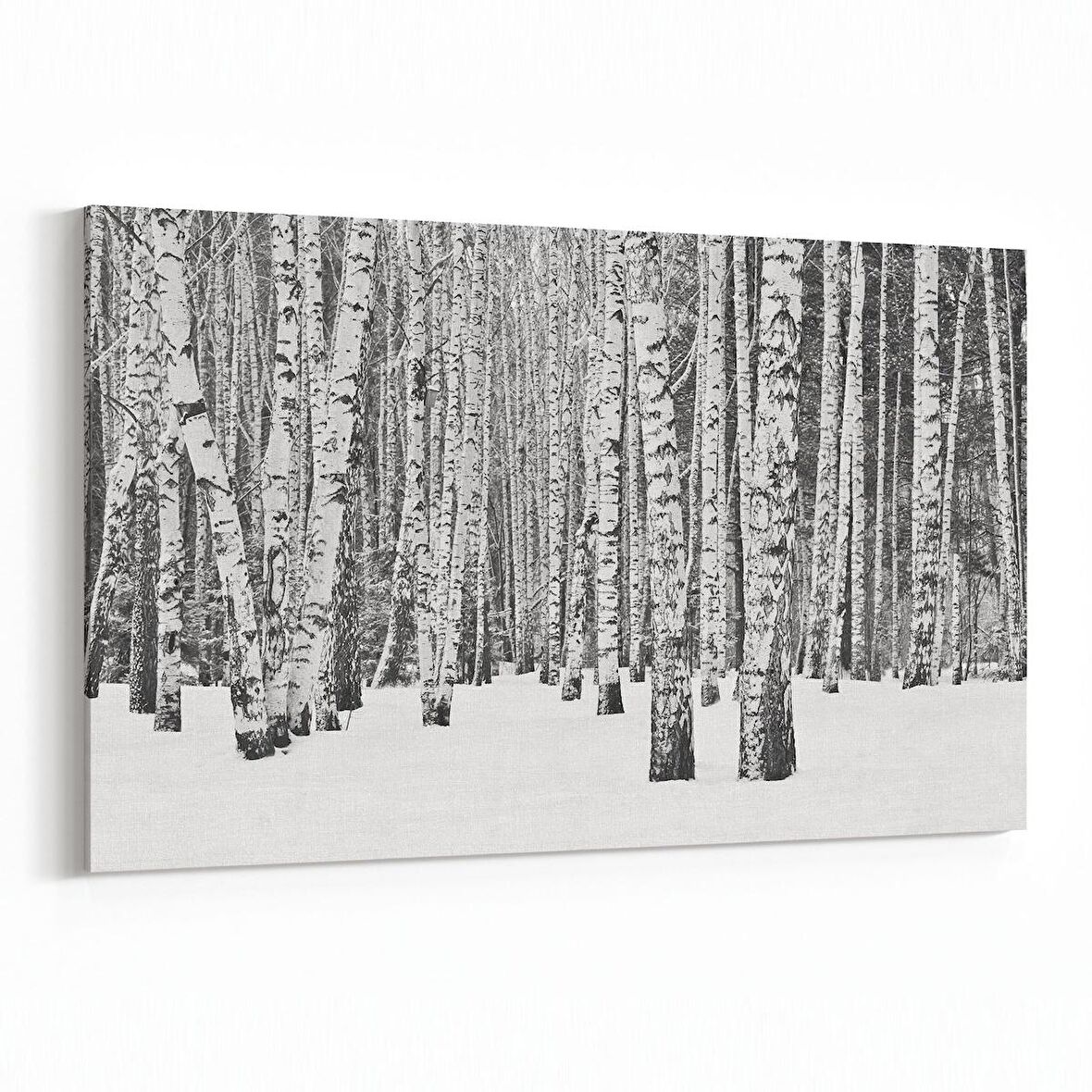 Olla 13317Y Doğa / Manzara Görseli Yatay Kanvas Tablo (Ölçü: 45X30)