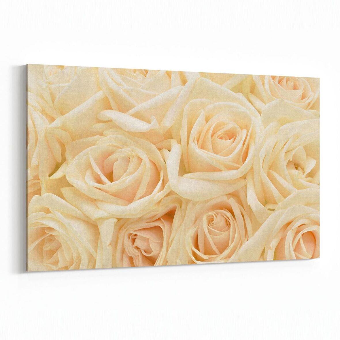 Olla 11642Y Çiçek Görseli Yatay Kanvas Tablo (Ölçü: 120X80)