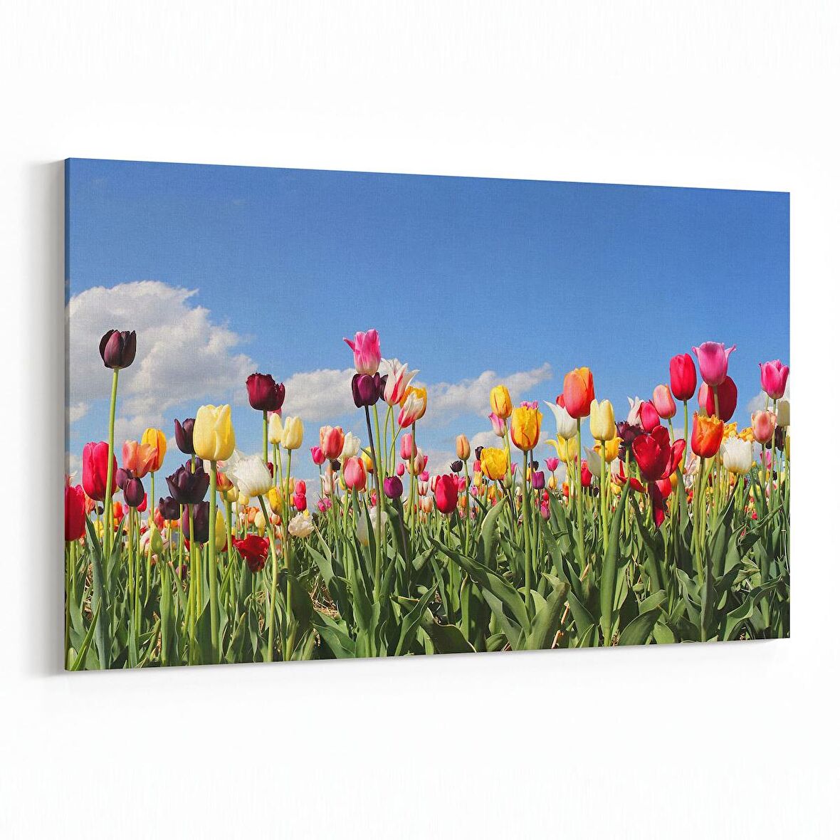 Olla 10770Y Ağaç Görseli Yatay Kanvas Tablo (Ölçü: 90X60)