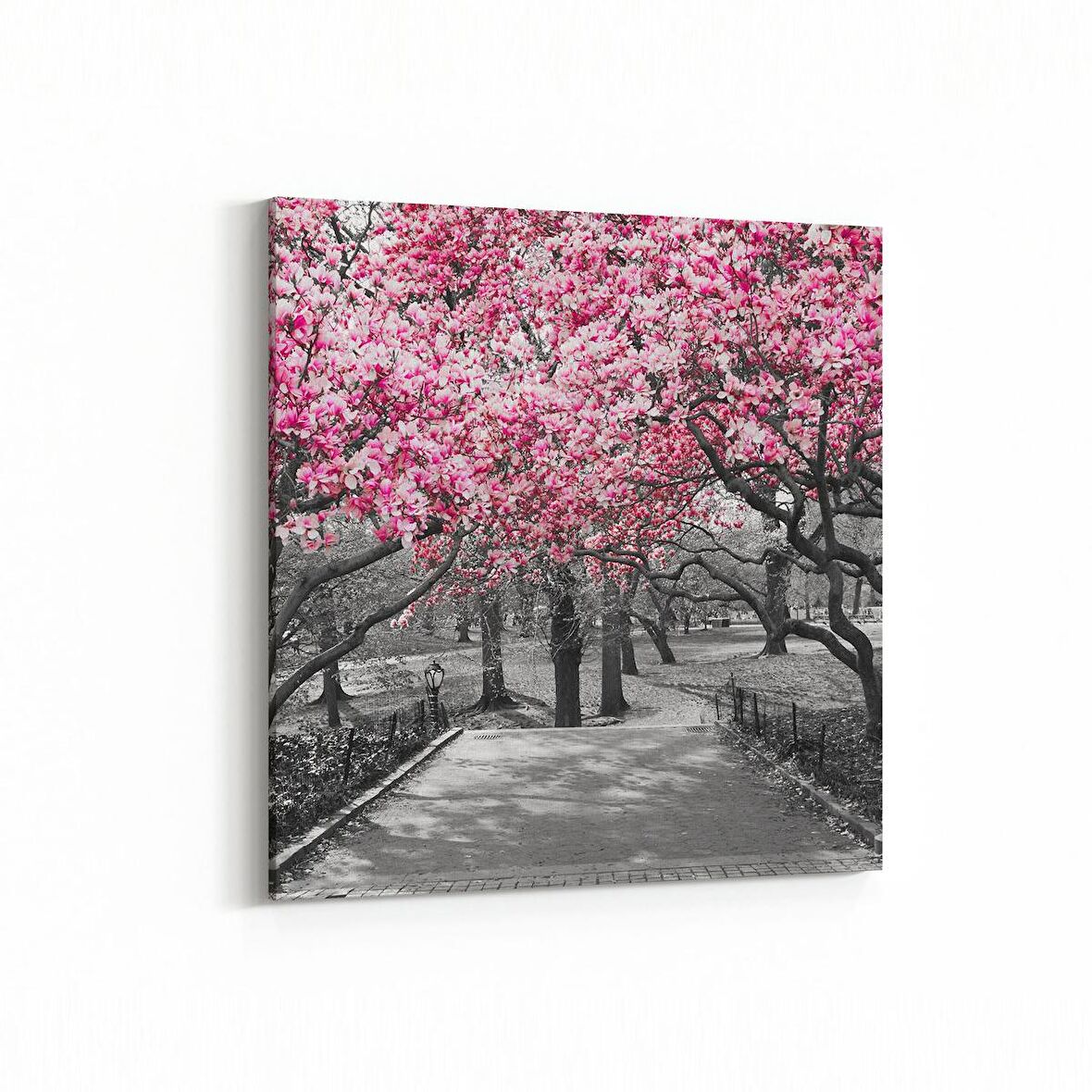 Olla 13832K Doğa / Manzara Görseli Kare Kanvas Tablo (Ölçü: 25X25)