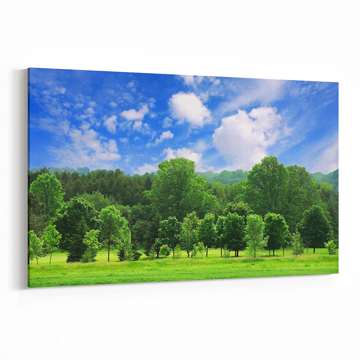 Olla 13859Y Doğa / Manzara Görseli Yatay Kanvas Tablo (Ölçü: 45X30)