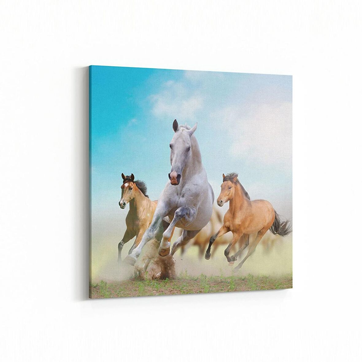 Olla 12483K Hayvanlar Alemi Görseli Kare Kanvas Tablo (Ölçü: 25X25)