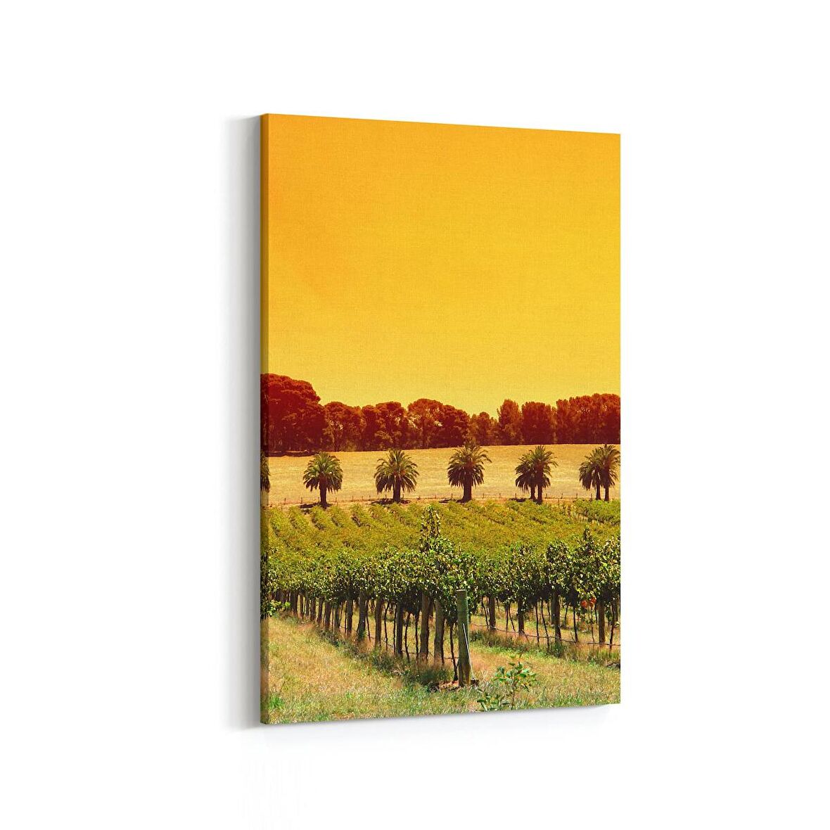 Olla 13815D Doğa / Manzara Görseli Dikey Kanvas Tablo (Ölçü: 20X30)