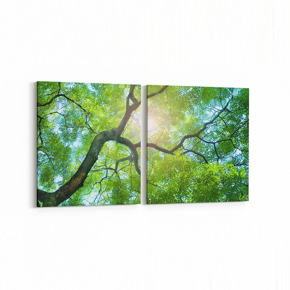 Olla 11055K2Y Ağaç Görseli Kare 2'li Yatay Kanvas Tablo (Ölçü: 65X30)