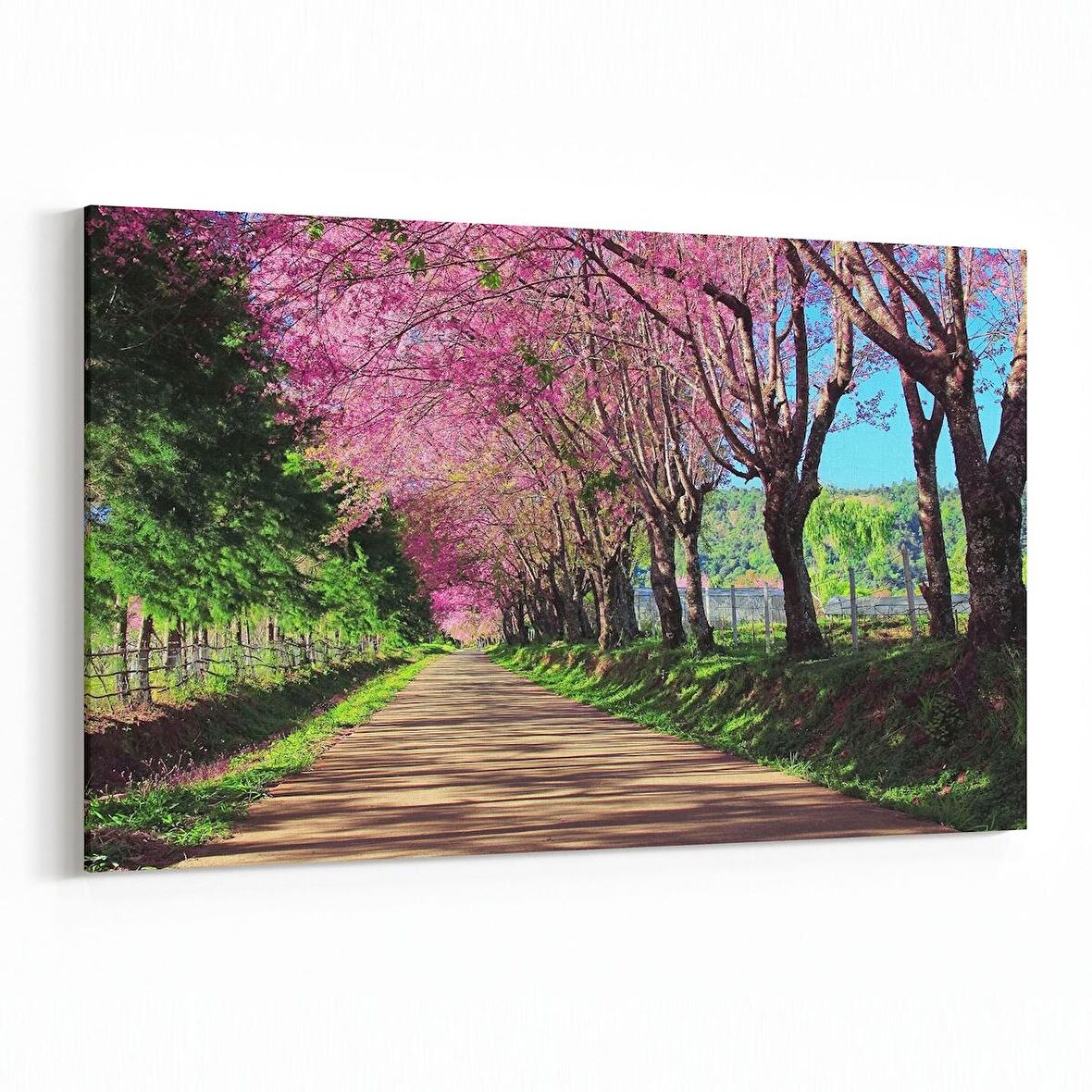 Olla 14633Y Doğa / Manzara Görseli Yatay Kanvas Tablo (Ölçü: 30X20)