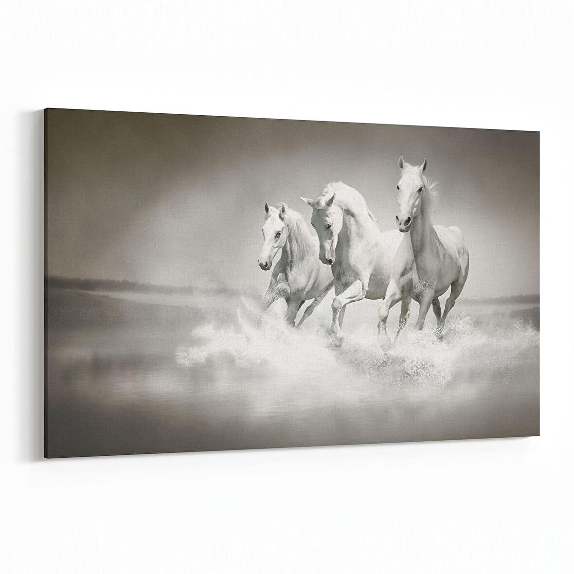 Olla 12479Y Hayvanlar Alemi Görseli Yatay Kanvas Tablo (Ölçü: 30X20)