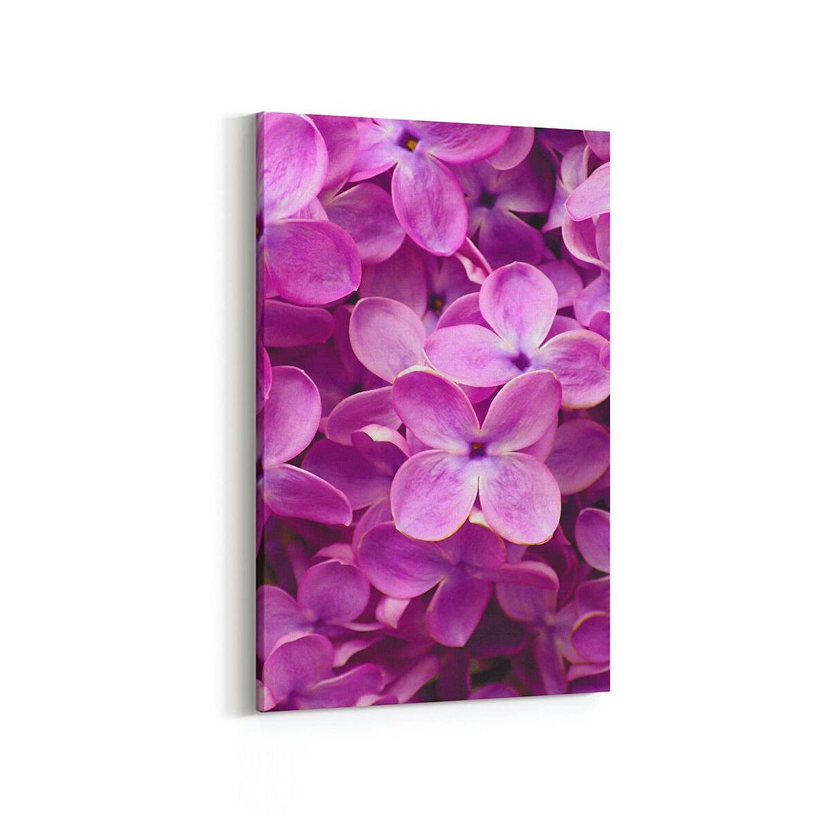 Olla 11609D Çiçek Görseli Dikey Kanvas Tablo (Ölçü: 60X90)