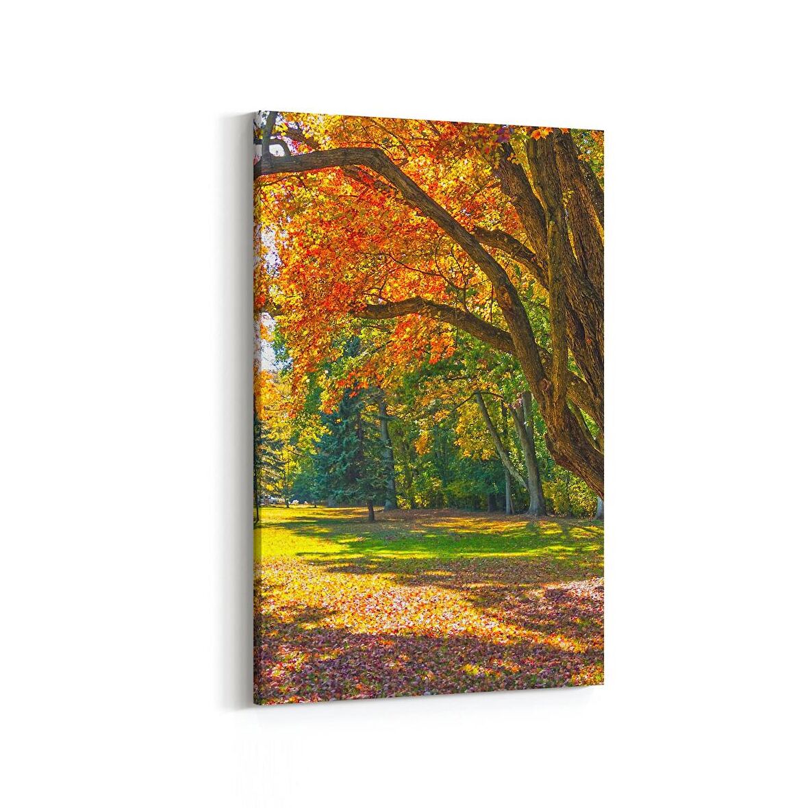 Olla 13980D Doğa / Manzara Görseli Dikey Kanvas Tablo (Ölçü: 60X90)