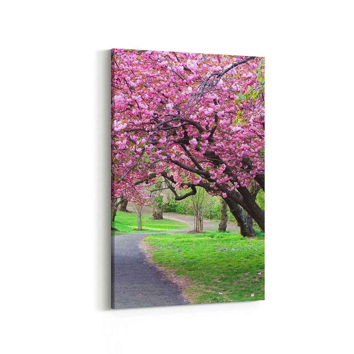 Olla 14265D Doğa / Manzara Görseli Dikey Kanvas Tablo (Ölçü: 60X90)