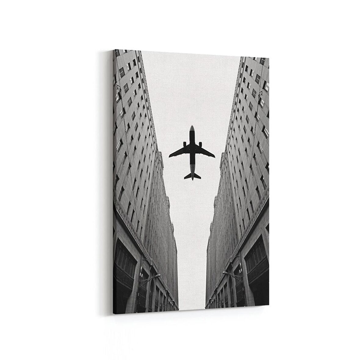 Olla 18101D Yapı Görseli Dikey Kanvas Tablo (Ölçü: 20X30)