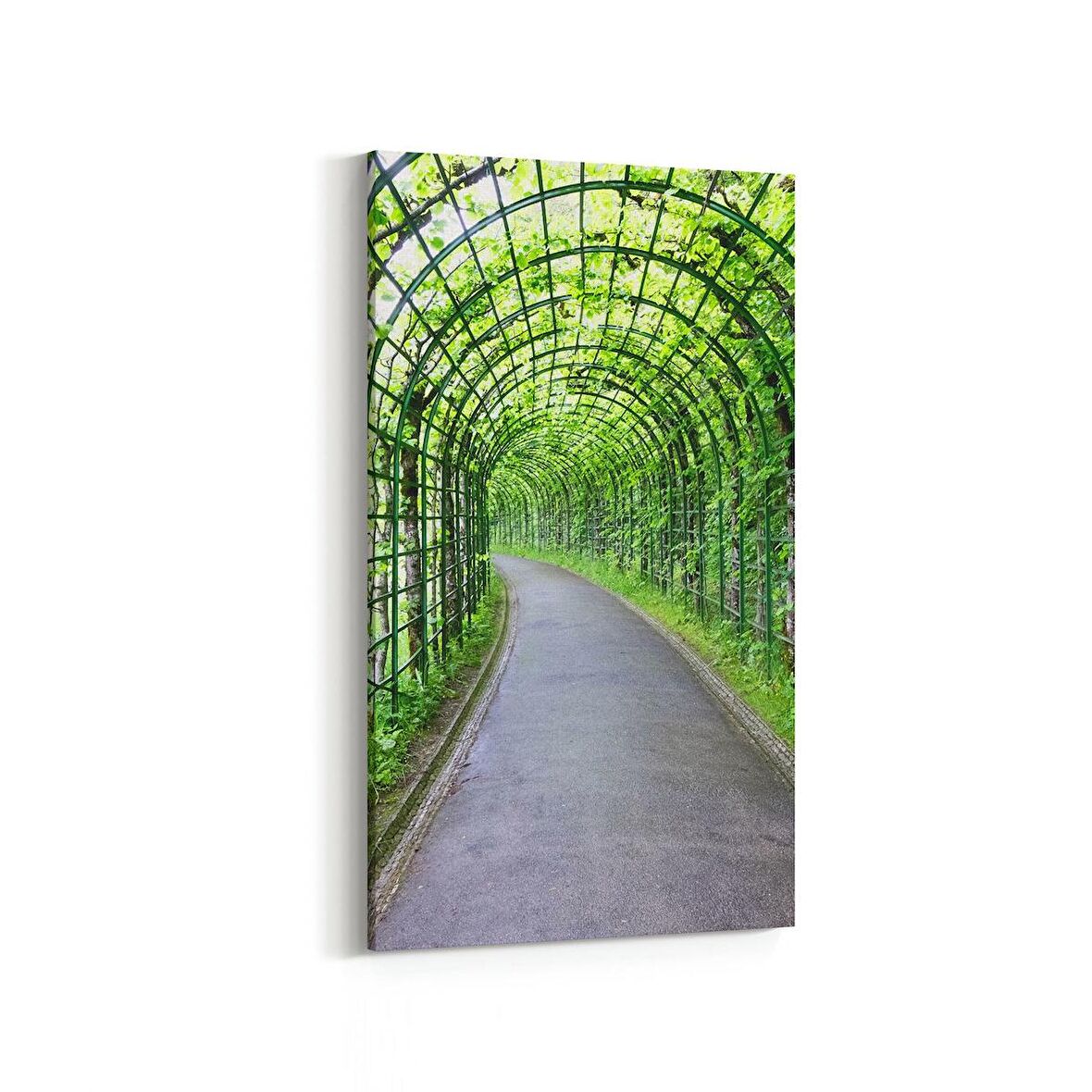 Olla 14074DD Doğa / Manzara Görseli Dikey Dar Kanvas Tablo (Ölçü: 60X120)